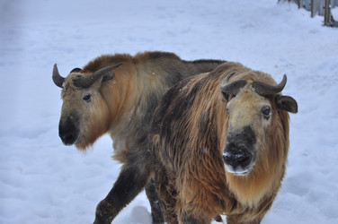 Similar image 22469495