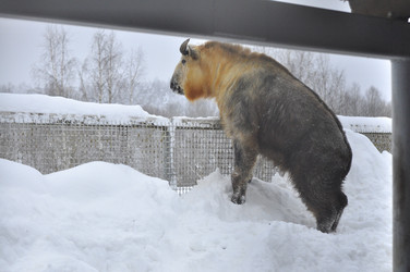 Similar image 22469496