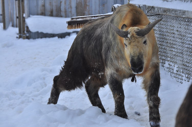 Similar image 22469511