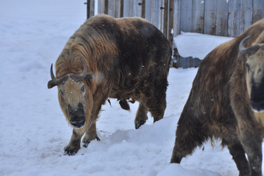 Similar image 22469512