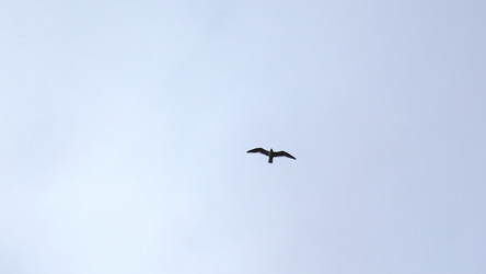 Similar image 22467289