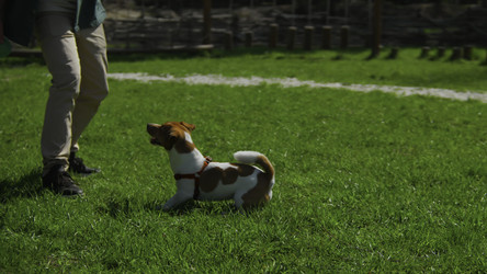 Similar image 22473444