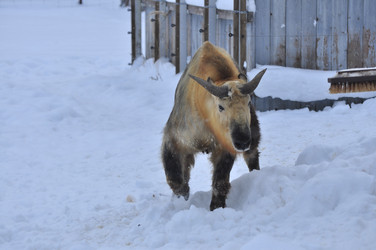 Similar image 22469479