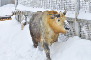 Similar image 22469480