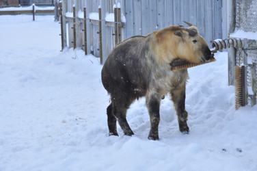 Similar image 22469481