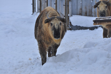 Similar image 22469482