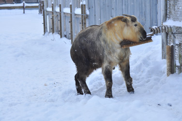 Similar image 22469483