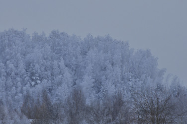 Similar image 22469484