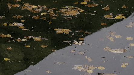 Similar image 22466884