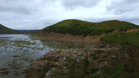 Similar image 22466957