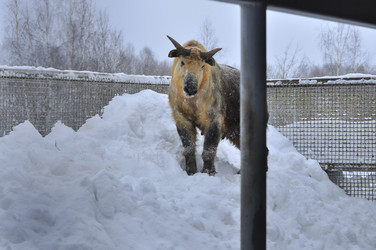 Similar image 22469513