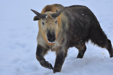 Similar image 22469514