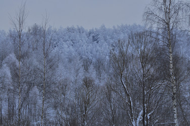 Similar image 22469515