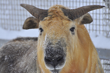 Similar image 22469516