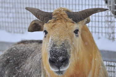 Similar image 22469520