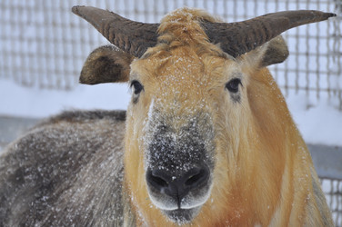 Similar image 22469521