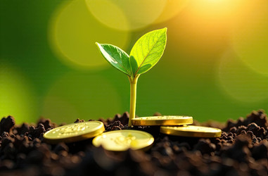 Similar image 22456123