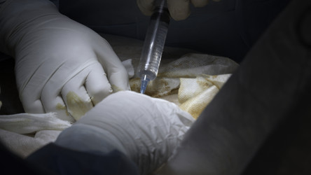 Similar image 22465515