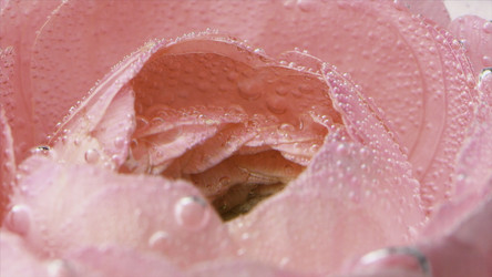 Similar image 22465756