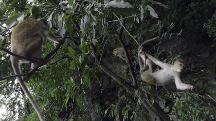 Similar image 22465808