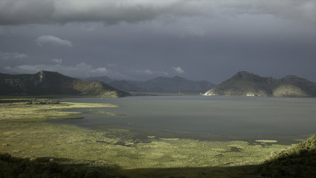 Similar image 22466450