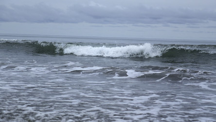 Similar image 22466463