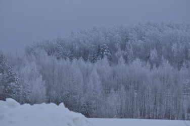 Similar image 22469497