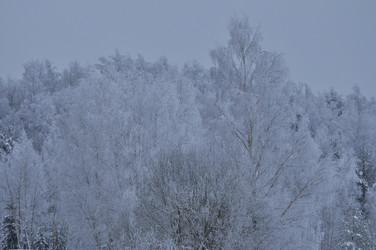 Similar image 22469498