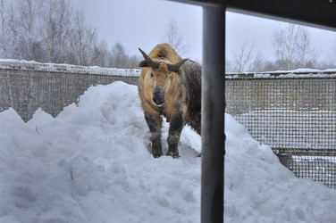 Similar image 22469499