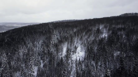 Similar image 22473473