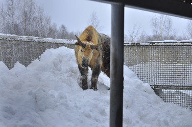 Similar image 22469522