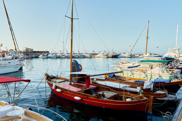 Similar image 22452264