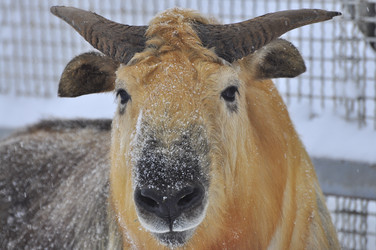 Similar image 22469486