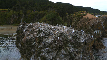 Similar image 22465771