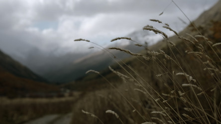 Similar image 22466960