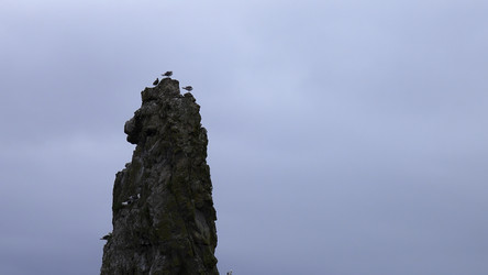 Similar image 22467110