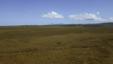 Similar image 22467126