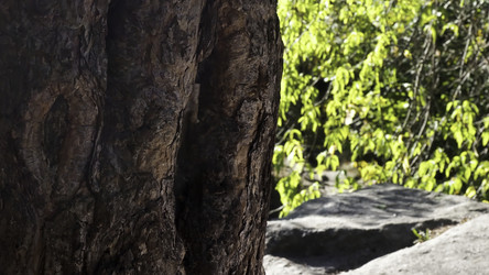 Similar image 22467303