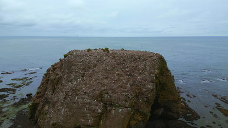 Similar image 22473461