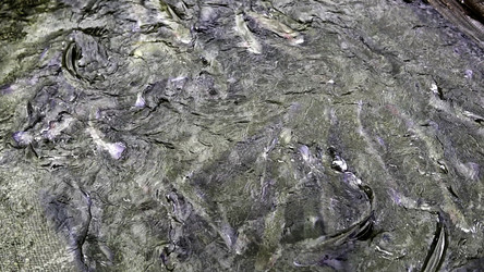 Similar image 22461282