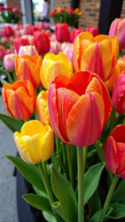 Similar image 22467526