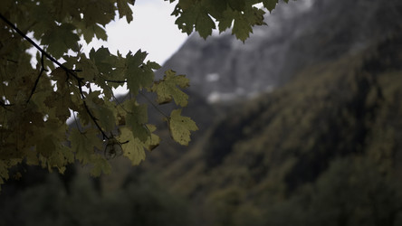 Similar image 22466419