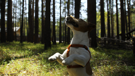 Similar image 22466706