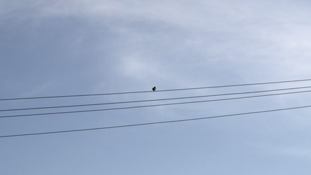 Similar image 22466828