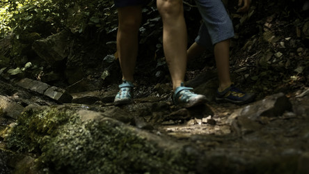 Similar image 22466900