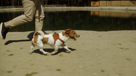 Similar image 22467231