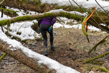 Similar image 22452529