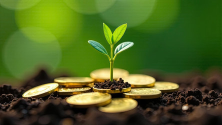 Similar image 22467843