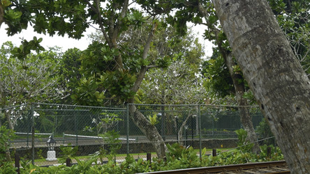 Similar image 22466498