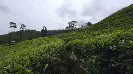 Similar image 22466556